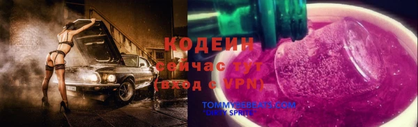 мдпв Иннополис