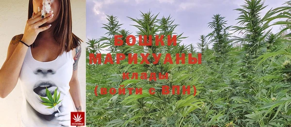 мдпв Иннополис