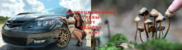 мяу мяу кристалл Инсар