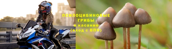 прущая мука Инта