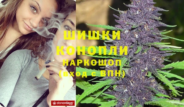 мдпв Иннополис
