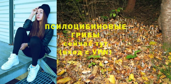 мдпв Иннополис