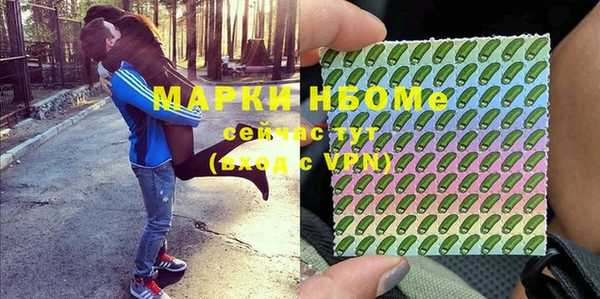мдпв Иннополис